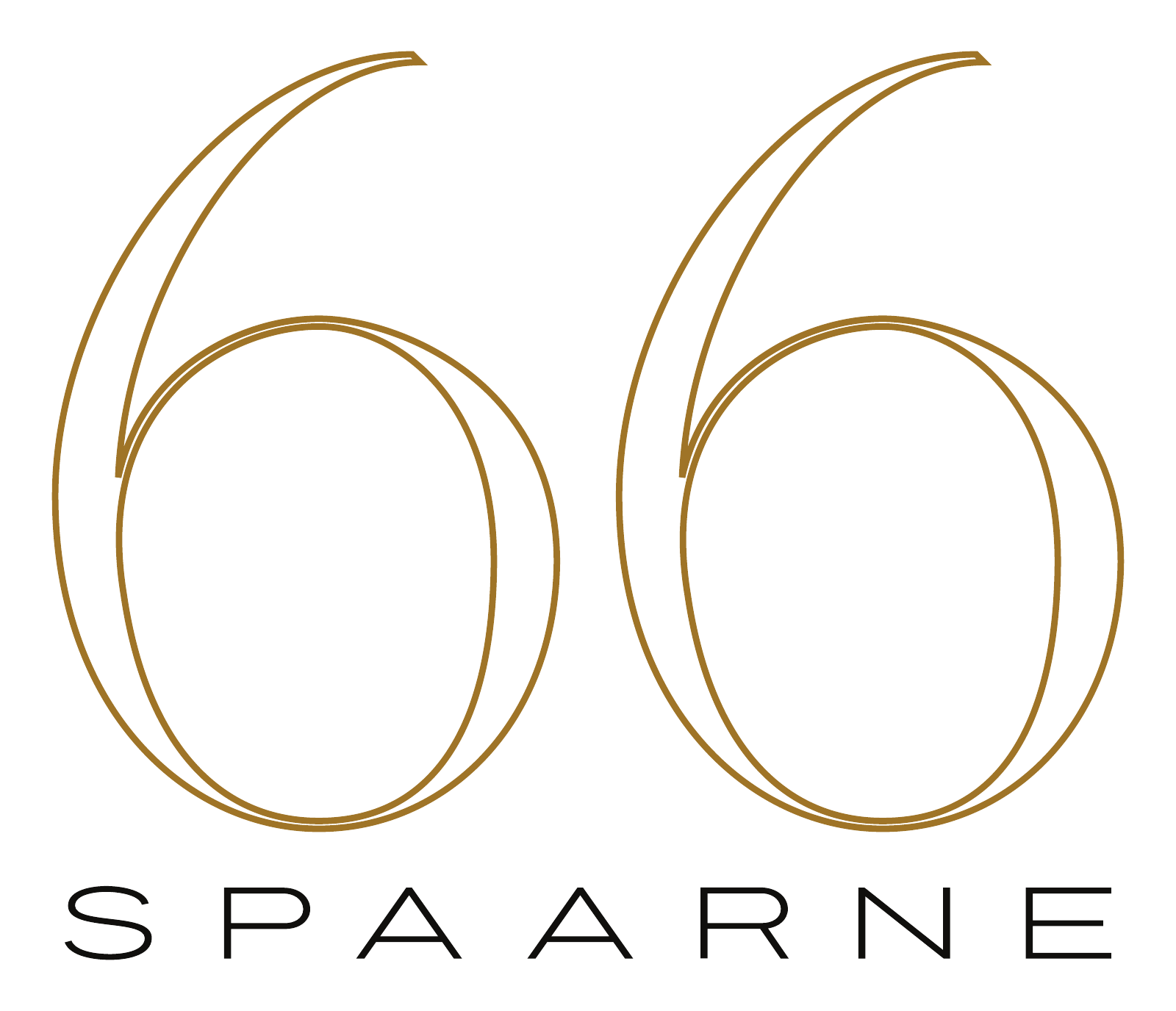Spaarne 66 — home